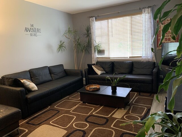 2406 Daybreak Ct, Elgin, IL 60123 - living area featuring plenty of natural light