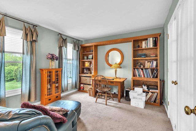 930 Ripple Brook Ln, Elgin, IL 60120 - view of carpeted office