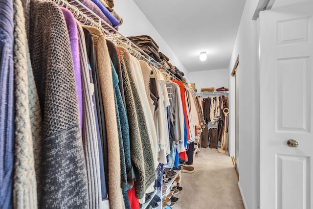 930 Ripple Brook Ln, Elgin, IL 60120 - walk in closet with carpet flooring