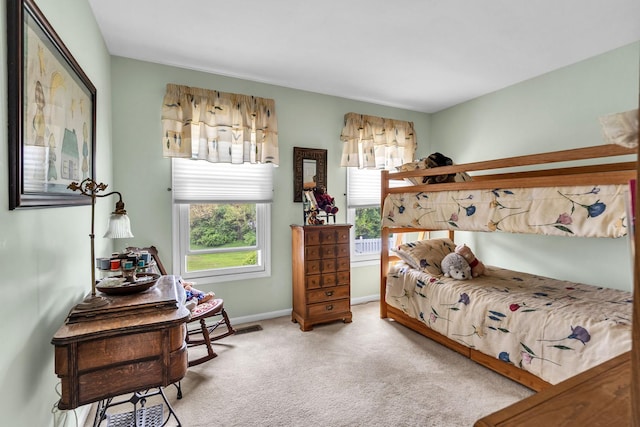 930 Ripple Brook Ln, Elgin, IL 60120 - bedroom with carpet floors and baseboards