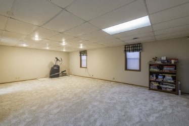 below grade area with a drop ceiling and carpet floors
