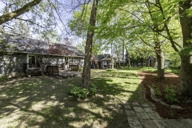 view of yard featuring a deck
