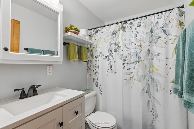 16810 Highview Ave, Orland Hills, IL 60487 - bathroom featuring toilet, vanity, and a shower with curtain