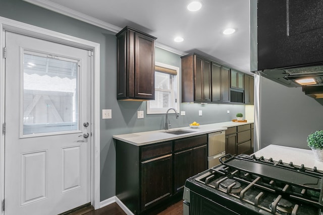 2317 Forest Ave, North Riverside, IL 60546 - kitchen with a sink, range with gas stovetop, ornamental molding, stainless steel dishwasher, and light countertops