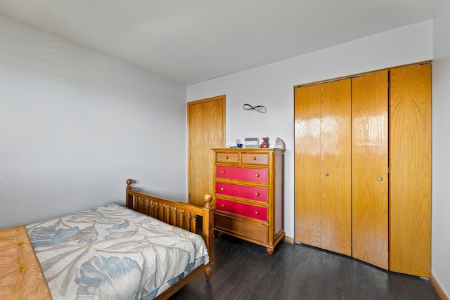 bedroom featuring wood finished floors and a closet