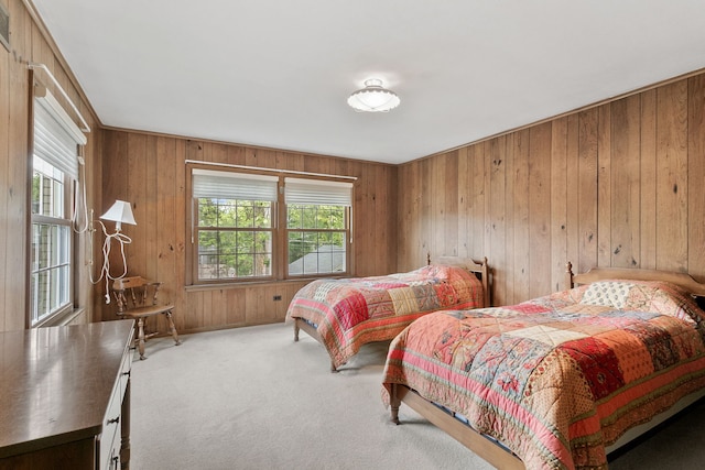 317 Blackhawk Rd, Riverside, IL 60546 - bedroom featuring carpet and wooden walls