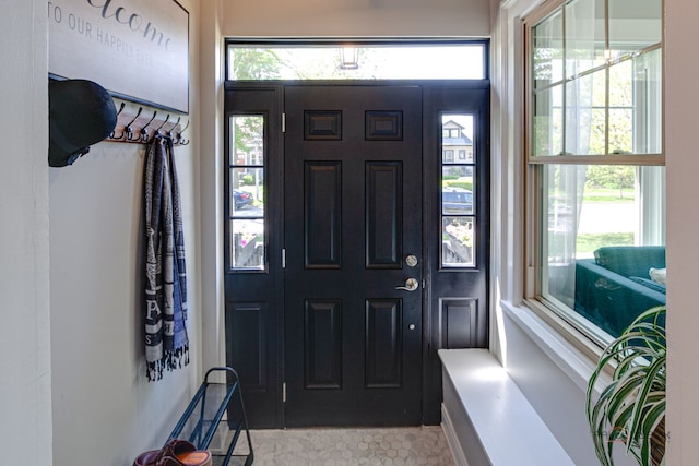 842 Mapleton Ave, Oak Park, IL 60302 - entryway with plenty of natural light