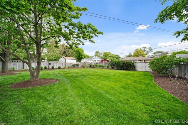 1731 Garfield Ave, Aurora, IL 60506 - view of yard