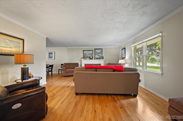 1731 Garfield Ave, Aurora, IL 60506 - living room with light wood-type flooring, baseboards, crown molding, a textured ceiling, and a fireplace