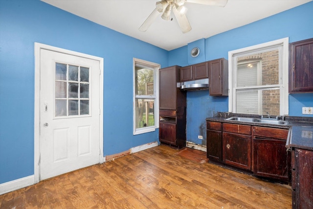 kitchen with dark countertops, under cabinet range hood, dark wood-type flooring, and ceiling fan