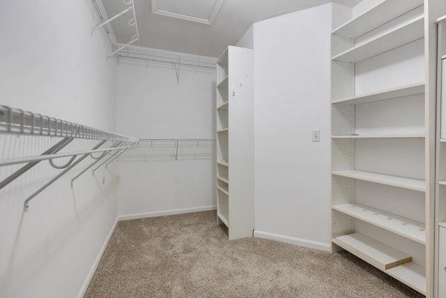 119 Allerton Dr, Schaumburg, IL 60194 - walk in closet with carpet floors and attic access