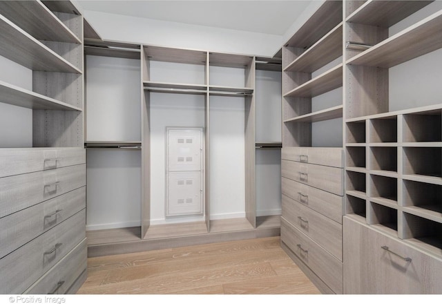 363 E Wacker Dr Unit 1903, Chicago, IL 60601 - spacious closet with light wood-type flooring