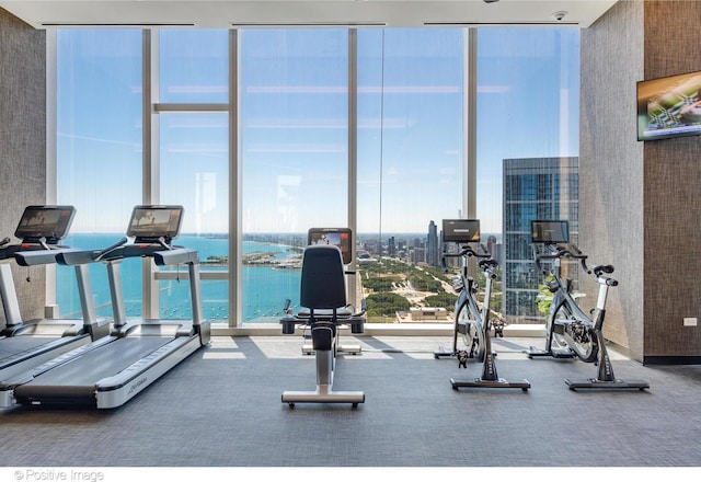 363 E Wacker Dr Unit 1903, Chicago, IL 60601 - workout area featuring expansive windows and carpet