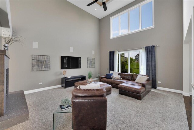 4332 Winterberry Ave, Naperville, IL 60564 - photo 10
