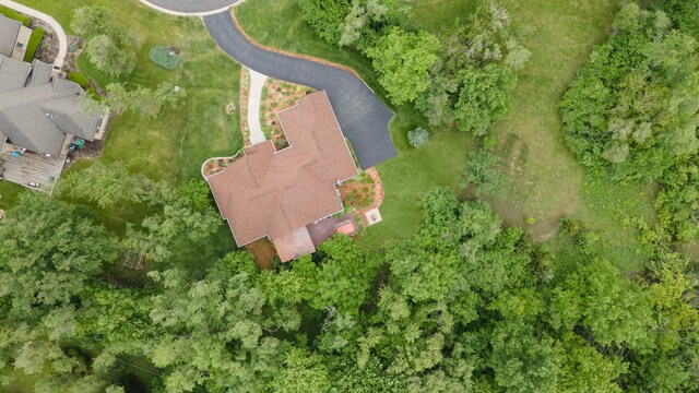 5419 Rita Ave, Crystal Lake, IL 60014 - aerial view of property's location