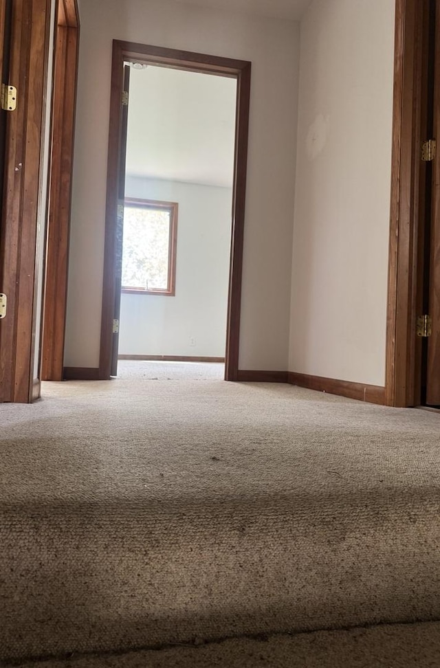331 Somonauk St, Park Forest, IL 60466 - carpeted empty room with baseboards