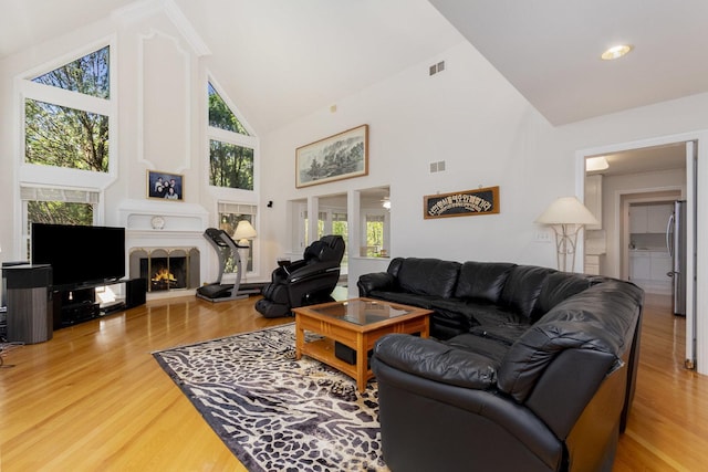 2164 Tellis Ln, Lisle, IL 60532 - living area featuring high vaulted ceiling, light wood-type flooring, and a warm lit fireplace