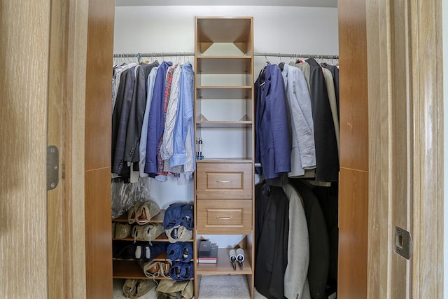 1372 Pheasant Chase Cir, Beecher, IL 60401 - view of walk in closet