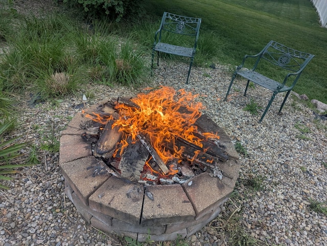 1372 Pheasant Chase Cir, Beecher, IL 60401 - exterior view of an outdoor fire pit