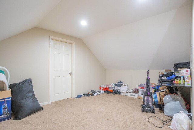 9226 S Ellis Ave, Chicago, IL 60619 - additional living space featuring vaulted ceiling and carpet