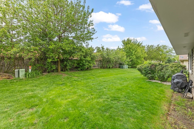 1592 Lighthouse Dr, Naperville, IL 60565 - view of yard
