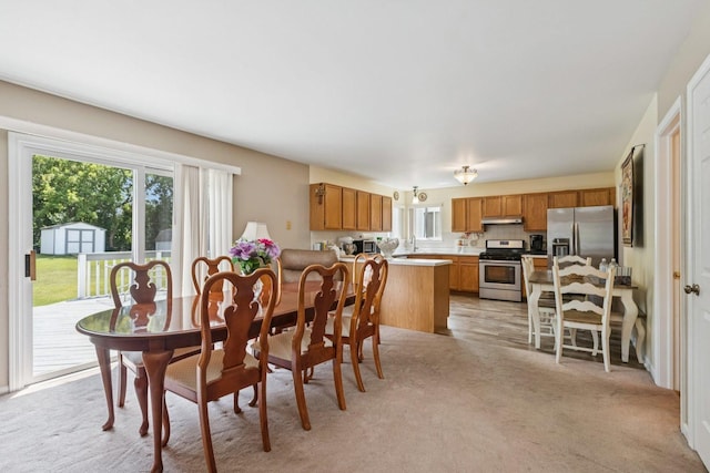 175 Davis Ct, Round Lake Park, IL 60073 - photo 7