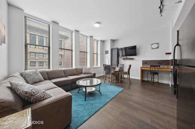 8 W Monroe St Unit 1205, Chicago, IL 60603 - living room featuring wood finished floors, plenty of natural light, rail lighting, and baseboards