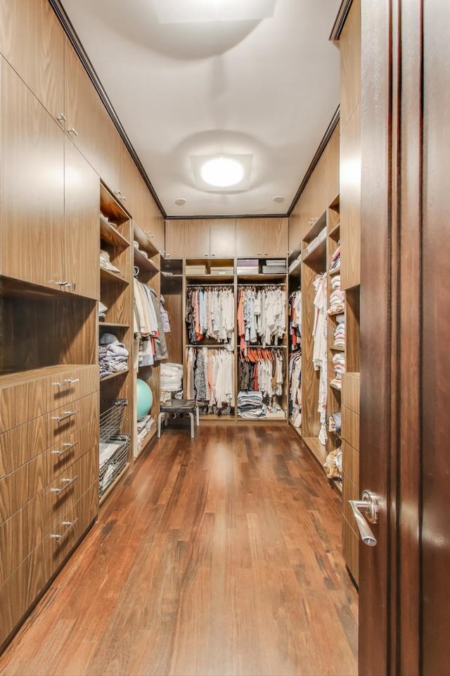 6535 N Tower Circle Dr, Lincolnwood, IL 60712 - walk in closet featuring wood finished floors