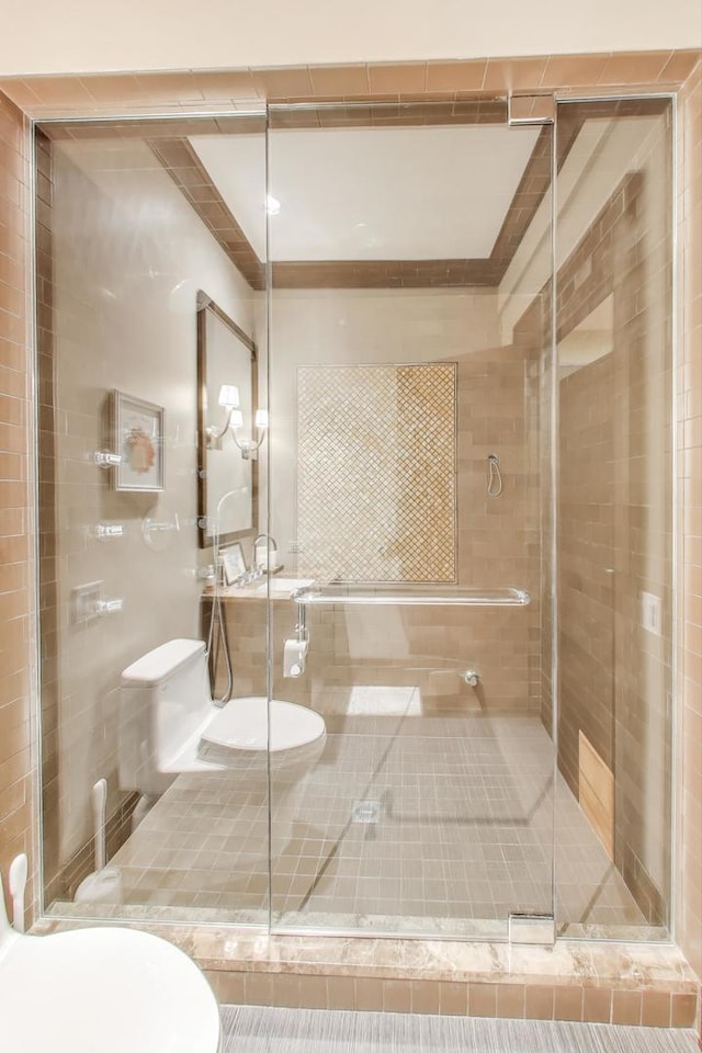 6535 N Tower Circle Dr, Lincolnwood, IL 60712 - bathroom with toilet and a shower stall