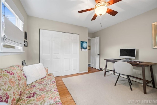 office space featuring wood finished floors and ceiling fan