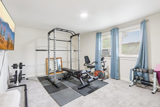 38 Highview Ave, Fox Lake, IL 60020 - exercise room featuring crown molding, carpet flooring, and cooling unit