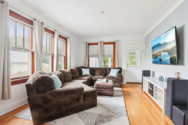 38 Highview Ave, Fox Lake, IL 60020 - living area with light wood-style floors, ornamental molding, and a textured ceiling
