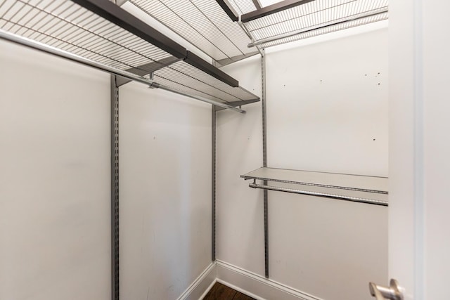 walk in closet featuring wood finished floors