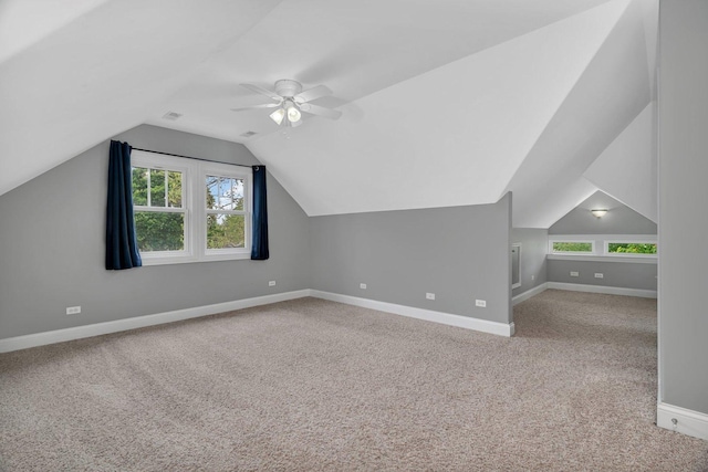 28 S Van Nortwick Ave, Batavia, IL 60510 - additional living space featuring carpet floors, baseboards, lofted ceiling, and healthy amount of natural light