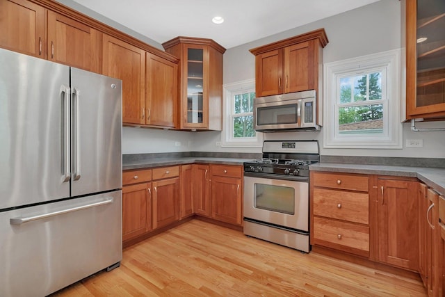28 S Van Nortwick Ave, Batavia, IL 60510 - kitchen featuring stainless steel appliances, brown cabinets, light wood-type flooring, dark countertops, and glass insert cabinets