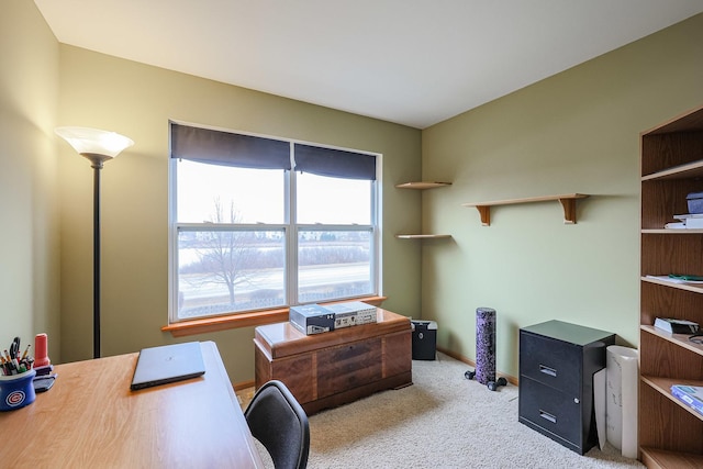 10941 Preston Pkwy, Huntley, IL 60142 - office area with carpet flooring and baseboards