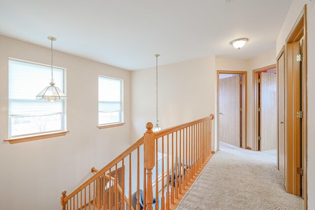 10941 Preston Pkwy, Huntley, IL 60142 - hall featuring an upstairs landing and carpet floors