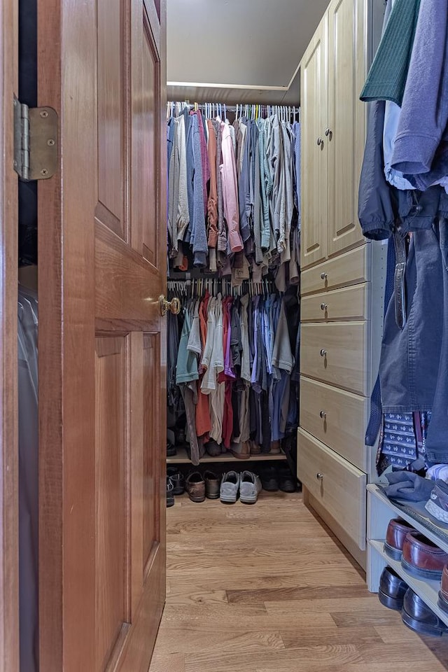 25410 N Cayuga Trl, Lake Barrington, IL 60010 - walk in closet with light wood-style flooring