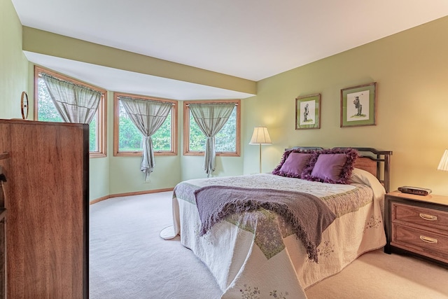 25410 N Cayuga Trl, Lake Barrington, IL 60010 - bedroom with light carpet and baseboards
