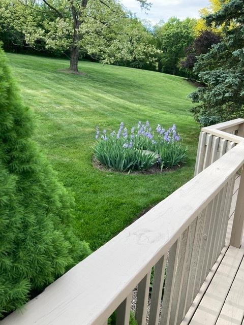25410 N Cayuga Trl, Lake Barrington, IL 60010 - view of green lawn with view of scattered trees