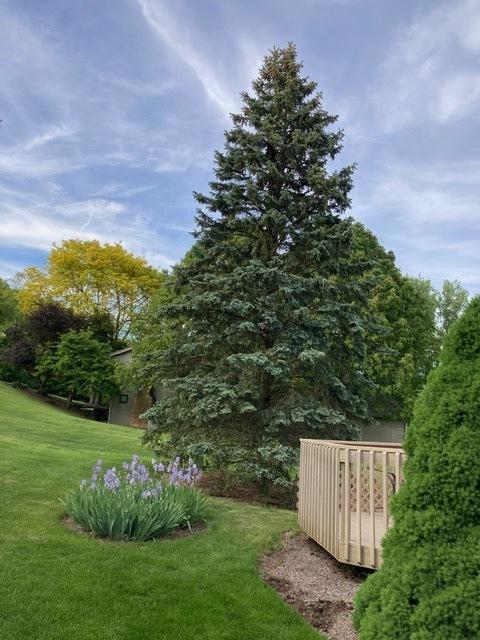 25410 N Cayuga Trl, Lake Barrington, IL 60010 - view of grassy yard