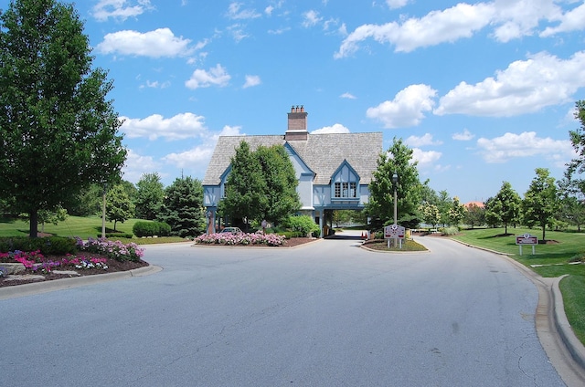 16 Pine Needles Dr, Lemont, IL 60439 - view of asphalt street featuring curbs and street lighting
