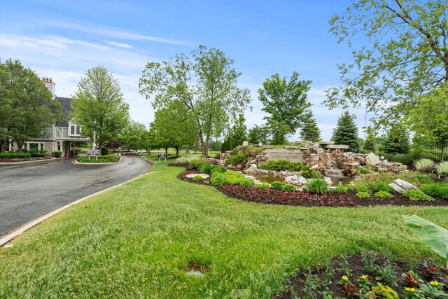 16 Pine Needles Dr, Lemont, IL 60439 - view of yard with driveway
