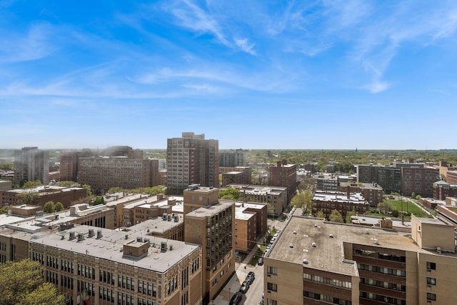 6301 N Sheridan Rd Unit 17J, Chicago, IL 60660 - city view