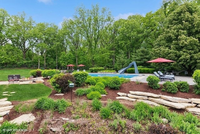 41W590 Bowgren Dr, Campton Hills, IL 60119 - view of yard with an outdoor pool and a patio area
