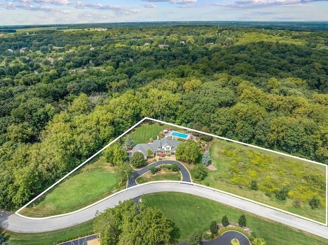 41W590 Bowgren Dr, Campton Hills, IL 60119 - aerial view of property's location with a heavily wooded area and property parcel outlined