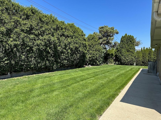 6600 N Kenton Ave, Lincolnwood, IL 60712 - view of grassy yard