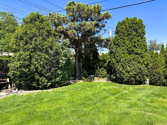 6600 N Kenton Ave, Lincolnwood, IL 60712 - view of grassy yard