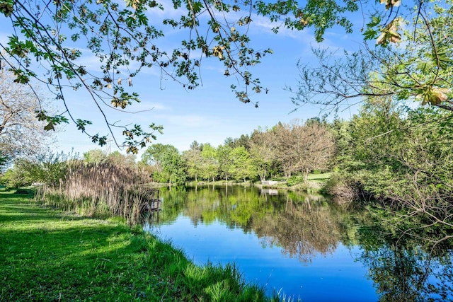 19423 Lakeside Ln, Bloomington, IL 61705 - water view with a heavily wooded area