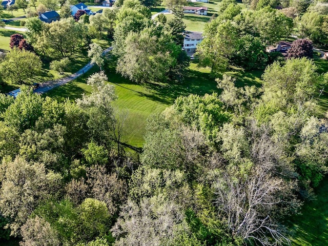 19423 Lakeside Ln, Bloomington, IL 61705 - bird's eye view of a tree filled landscape